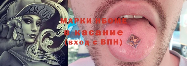 гидра Богданович
