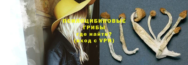 дурь Богородск