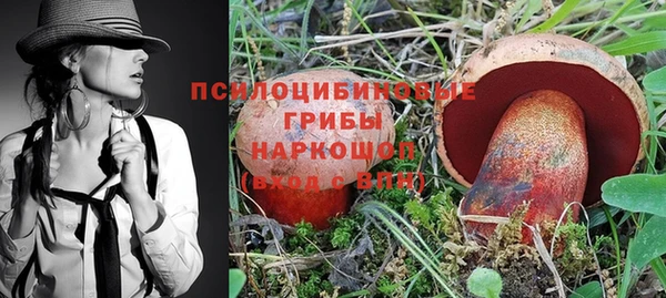 дурь Богородск