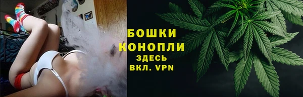 гидра Богданович