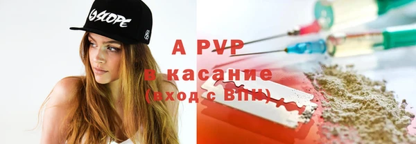 гидра Богданович