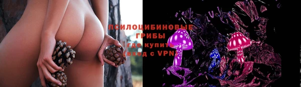 дурь Богородск