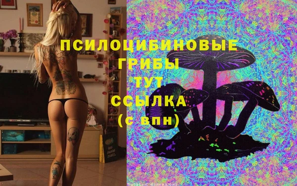 марихуана Богородицк