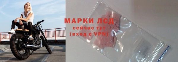 гидра Богданович