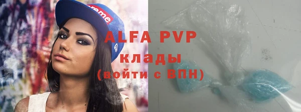 гидра Богданович