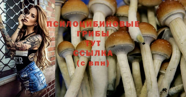 mdpv Дмитров