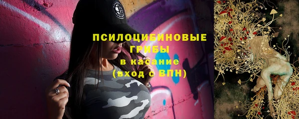 гидра Богданович