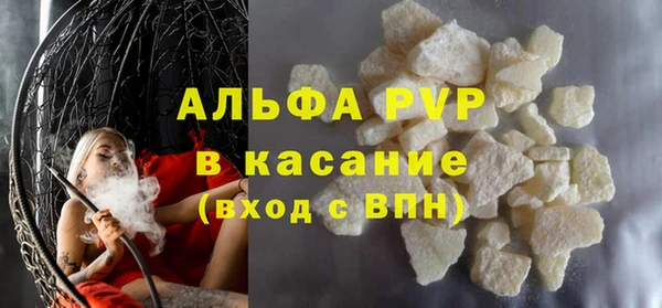 гидра Богданович