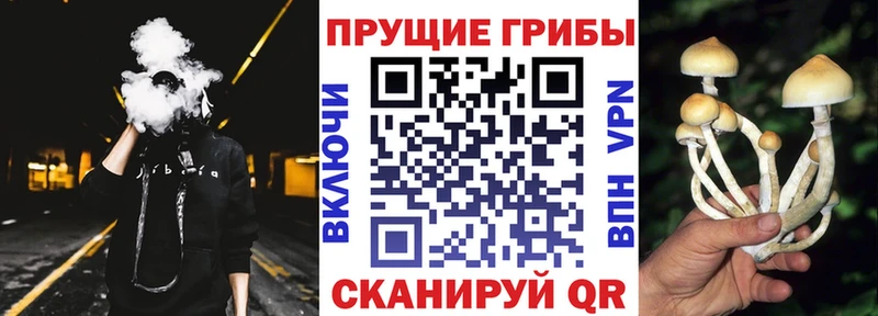 Галлюциногенные грибы GOLDEN TEACHER  Мариинский Посад 