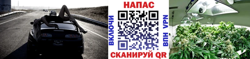 Марихуана семена  МЕГА как войти  Мариинский Посад 